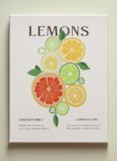 Lemons - Histoire et Harmonie