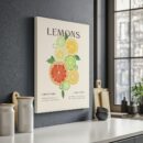 Lemons - Histoire et Harmonie