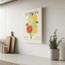 Lemons - Histoire et Harmonie