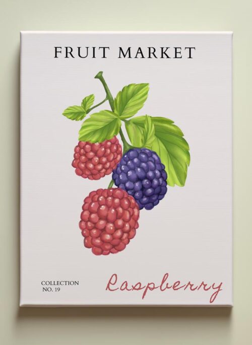 Framboise – Collection Fruit Market