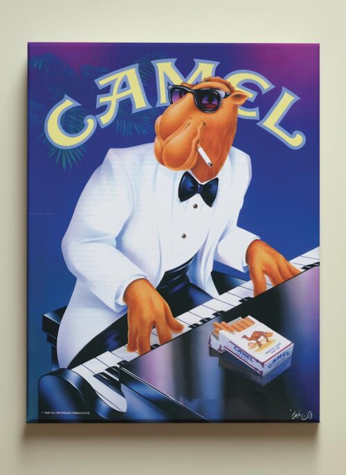 Jazz et Camel